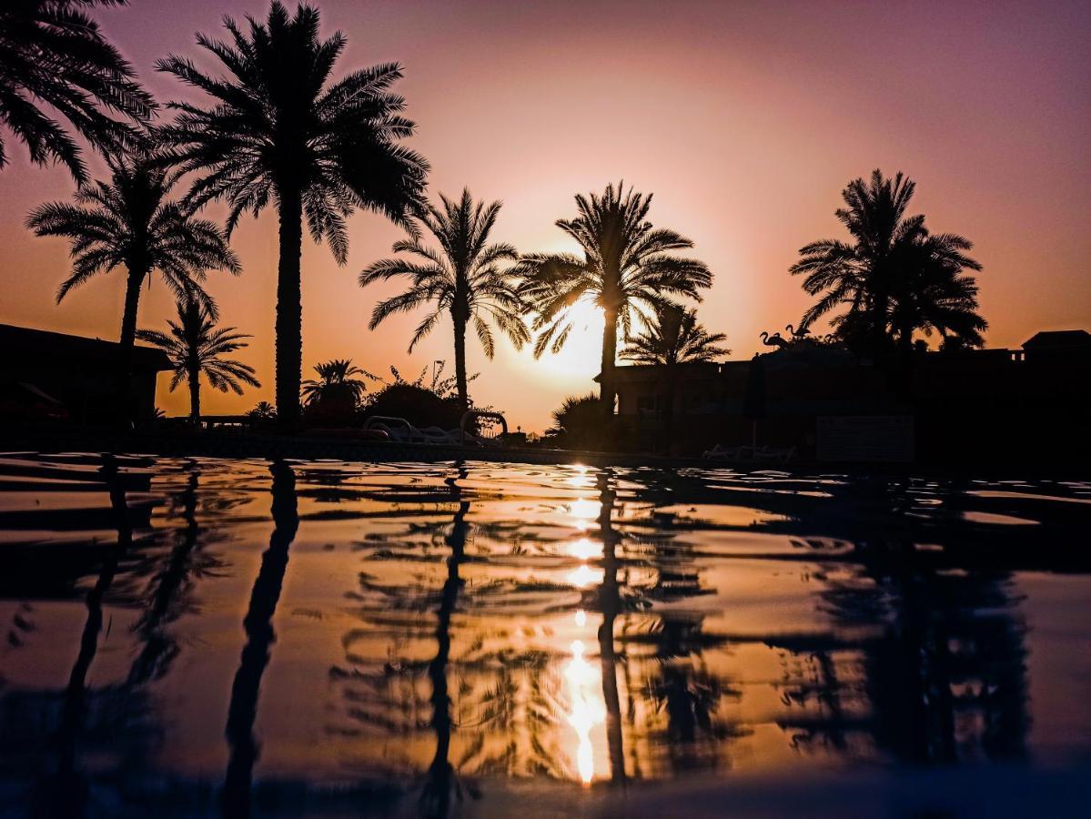 Flamingo Beach Hotel Umm al-Qaiwain Exterior foto